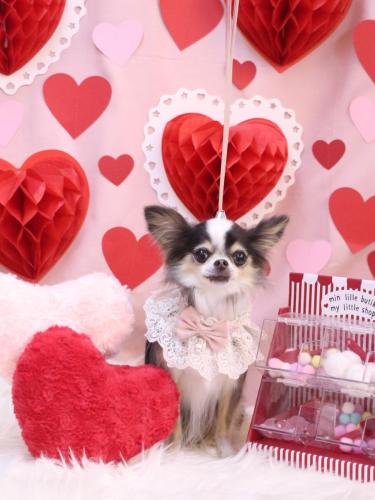 20240228ひめちゃん